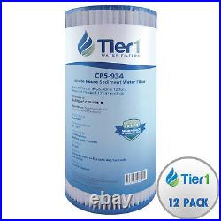 10 x 4.5 Inch 5 Micron CP5-BB Pleated Polyester Sediment Water Filter 12 Pack