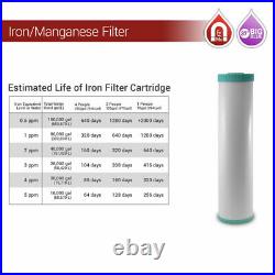 1x Big Blue 20x 4.5 IRON and Manganese removal Water Filter