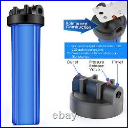 20 Inch Big Blue Whole House Water Filter Housing & 4PCS 20 x 4.5 Carbon Block