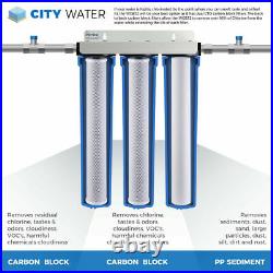 20 Inch Big Blue Whole House Water Filter Housing Sediment CTO Carbon Cartridges