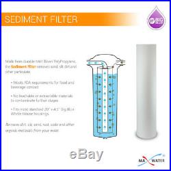 20x4.5 BB Clear Dual 1 Whole House Water Sediment Carbon Filter+Pressure Gauge