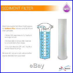 20x4.5 Big Blue Two Stage Clear Whole House Water Filter System, 1 port Single