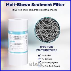 2Pack 10 Inch Whole House Water Filter Housing System &2P 10x4.5 PP Filtration