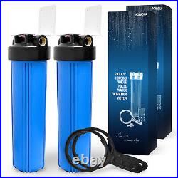 2 Blue High Capacity 20 x 4.5 Whole House Filter Purifier Systems 1 Brass Port