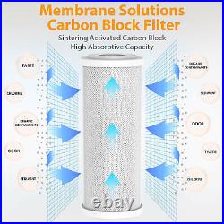 2-Stage 10 Inch Clear Whole House Water Filter Housing & Spin Down Filtration