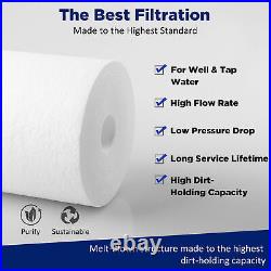 2-Stage 10x4.5 Big Blue Whole House Water Filter System Carbon Sediment Filter