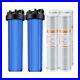 2_Stage_20_Inch_Big_Blue_Whole_House_Water_Filter_Housing_4PCS_CTO_Carbon_Block_01_lmnf
