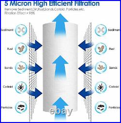 2-Stage Filtration 10 Big Blue Whole House Water Filter Housing 2 PP + 2 CTO