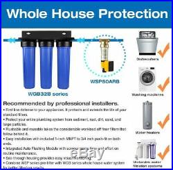 3-Stage Whole House Water Filtration System with 20 x 4.5 Big Blue Fine Sediment