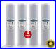 4Pk_Whole_House_CTO_Coconut_Carbon_Block_Water_Filter_5_micron_Big_Blue_Size_20_01_krd