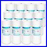 5_Micron_10_x4_5_Whole_House_Sediment_Water_Filter_Fit_For_Big_Blue_GE_GXWH40L_01_li