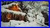 6_Day_Full_Video_Building_A_Natural_Living_Shelter_With_A_Fireplace_Daily_Natural_Shelter_01_eun