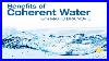 Benefits_Of_Coherent_Water_With_Mario_Brainovi_Part_2_Dr_John_Douillard_S_Lifespa_01_lr