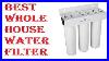 Best_Whole_House_Water_Filter_2020_01_ovm