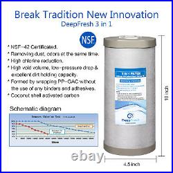Big Blue Sediment and Activated Carbon Water Filter For Whole House 10 x 4.5