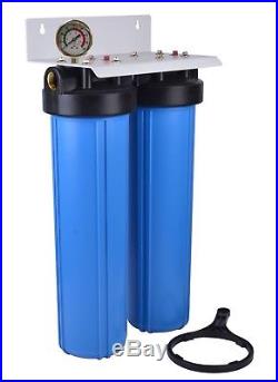 Dual Big Blue Whole House Water Filter System, 20 x 4.5, 160 psi Steel Gauge
