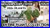 Houseplant_Tour_200_Plants_Entire_Plant_Collection_First_Plant_Tour_In_Almost_2_Years_01_uh