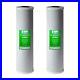 ISPRING_Water_Filter_Cartridge_Carbon_Block_Big_Blue_Whole_House_2_Pieces_01_nnd