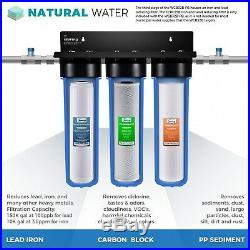 ISpring Iron & Lead Reducing Whole House Water Filter Big blue 3 stage system with