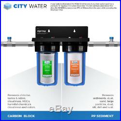 ISpring WGB21B 2-Stage Whole House Water, 4.5X10 Big Blue, 1 Ports