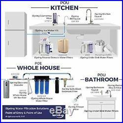 ISpring WGB21B 2-Stage Whole House Water Filtration System, 10 x 4.5 Big Blue
