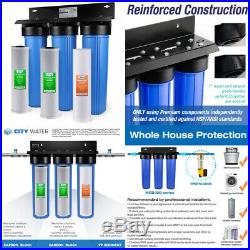 ISpring WGB32B 3-Stage Whole House Water Sediment & Double Fine Carbon