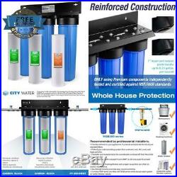 Ispring Wgb32B 3 Stage Whole House Water Filtration System With 20 X 4.5 Big Blu