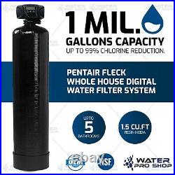 Pentair Fleck Whole House Digital Water Filter System, Automatic, Carbon NSF