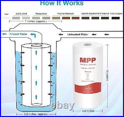 SimPure 2-Stage 10x4.5 Big Blue Whole House Sediment Carbon Water Filter System