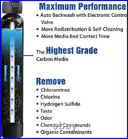 Systems WTS-MAX-15-FG Flagship Whole House Water Filter System with Electronic C