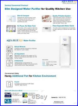Water filter system for whole house