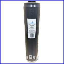 Whole House Water Filter 20 in. X 4.5 in. KDF85/Granular Catalytic Carbon Filter