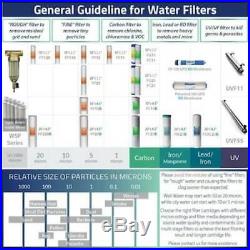 Whole House Water Filter Big Blue Sediments Rust Pesticides Home 2-Stage 20 -in